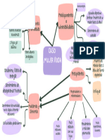 Caso Mujer Viuda