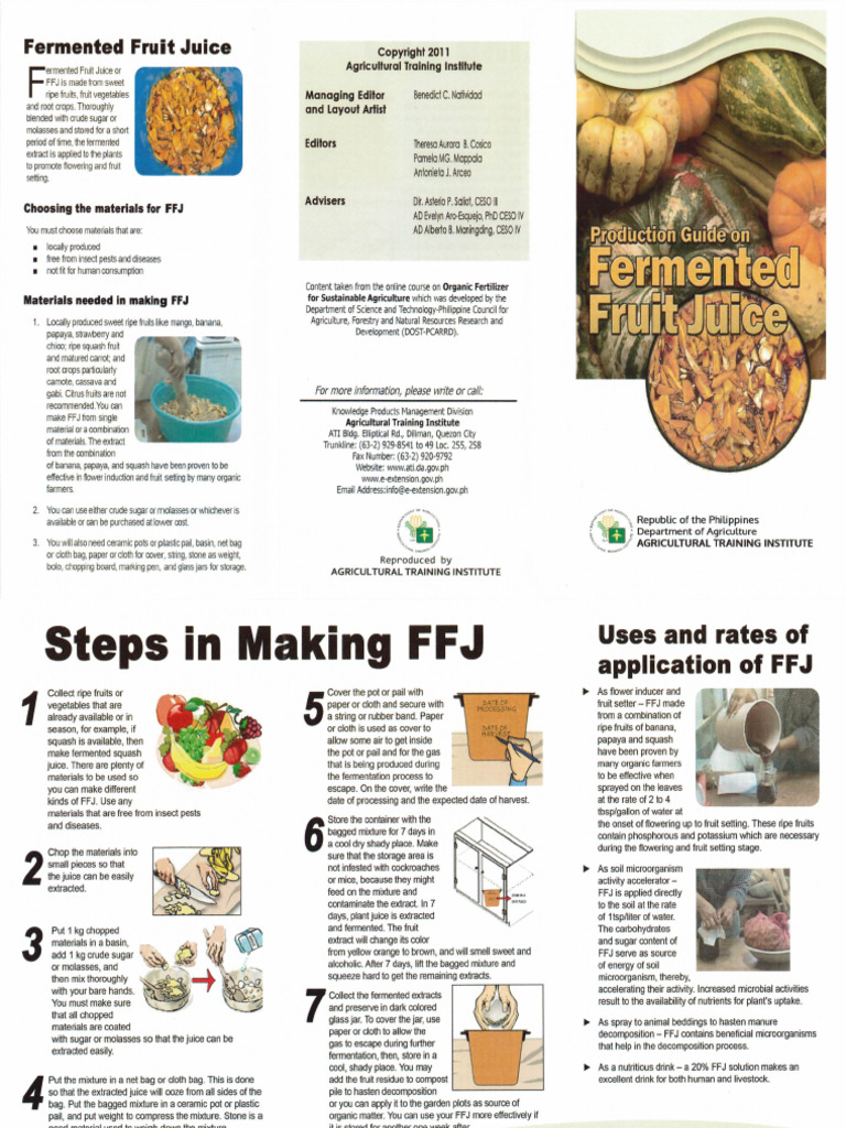 Production Guide On Fermented Fruit Juice Pdf
