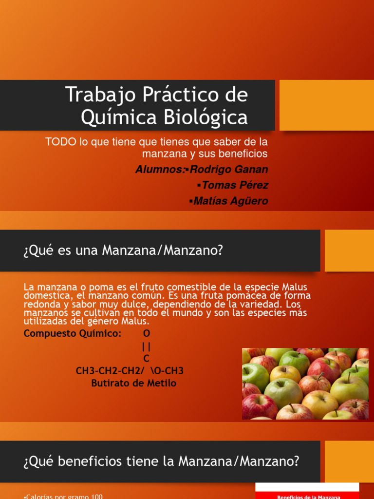 Disecado de Frutas 6to Año | PDF
