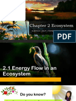 2.1 Energy Flow in An Ecosystem
