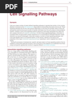 Cell Signaling