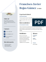 Curriculum Francisco Javier Rojas Gamez