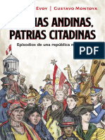1 Fragment Patrias Andinas, Patrias Citadinas