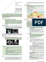 Oncologia Ginecológica