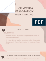 Inflammation and Healing Report
