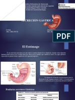 Secrecion Gastrica