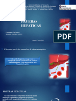 Pruebas Hepaticas