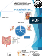 Fisiologia Del Tubo Digestivo