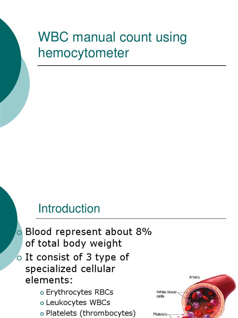 WBC Manual Count Using Hemocytometer White Blood Cell Blood