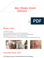Secondary Herpes Zoster Infection