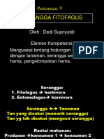 Hama D4-05 PDF