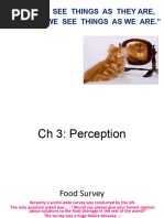 Chapter 3 Perception