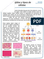 05 Tipos de Celulas