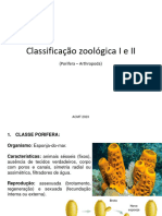 Classificação Zoológica I e II