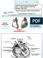 Configuratia Interna A Inimii