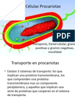 Células Procariotas 2