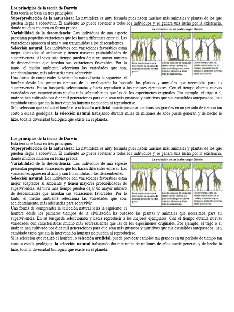 Los Principios de La Teoría de Darwin | PDF | Seleccion natural ...