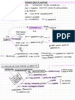 Características Gerais Das Plantas