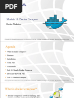 Module 10 - Docker Compose