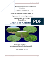 Cours Grandes Cultures - Céréales - L3 PV 2024