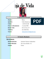 Elena Calvo - Hoja de Vida PDF
