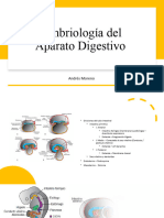 Embriología Del Aparato Digestivo