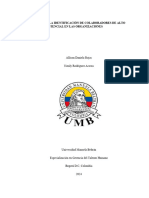 Procesos para La Identificación de Colaboradores de Alto Potencial en Las Organizaciones