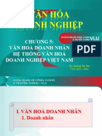 Chương 5 - Văn Hoá Doanh Nhân, Hệ Thống Văn Hoá Doanh Nghiệp VN