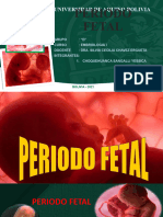 Periodo Fetal