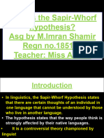 Sapir Whorf Hypothesis Final Term Asg by Miss Amna