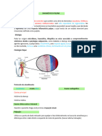 Diagnóstico Pulpar