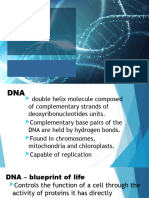 Protein Synthesis