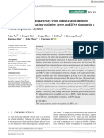 Xu, 2020 - Melatonin Protects Mouse Testes From Palmitic Acid Induced Lipotoxicity by