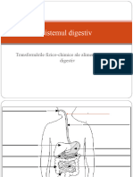 Sistemul Digestiv - Transf F-C