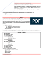 Metrorragia de La Primera Mitad Del Embarazo