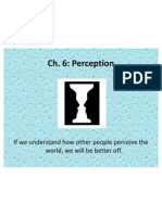 6 Perception Power Point