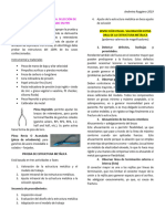 Prueba de Estructura Metalica