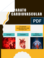 4 Sistema Cardiovascular