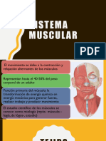 3 Sistema Muscular