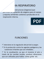 Sistema Respiratorio