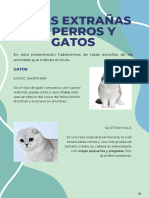 Razas Extrañas de Perros y Gatos