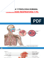 Homeostasis Respiratoria y PH