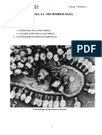 Tema 4.1 Los Microorganismos