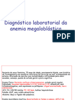 Anemia MegaloblÃ¡stica - 2024