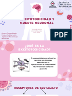 Excitotoxicidad y Muerte Neuronal