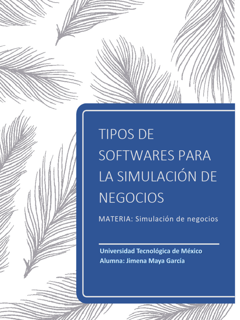 Tipos de Software para Simulación Empresarial | PDF | Producto (Negocio ...