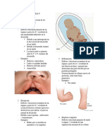 Anomalias Congenitas y Teratogenesis