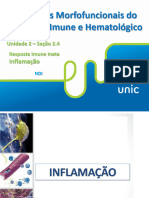 Aula+Inflamação 2