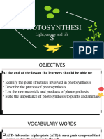 Photosynthesis and Cellular Respiration