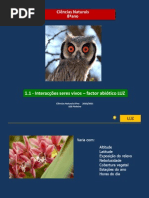 3 - CN 8 - interacção seres vivos-factor abiótico LUZ